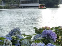 -荔湾湖公园