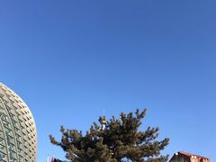 -凤凰中心