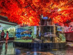 -成都浩海立方海洋公园