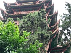 -黄鹤楼公园(黄鹤楼)