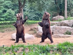 -北京野生动物园