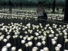-爱来魔相4D艺术馆(济州中文馆)