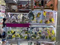 -三旗百汇商品城