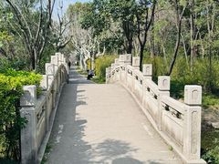 -新江湾城公园