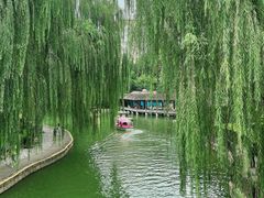 -团结湖公园
