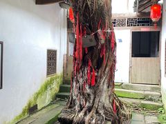 -尧坝古镇