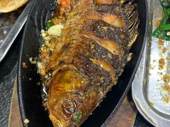铁板烤鲫鱼-老黑板筋(顺义总店)