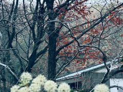 -虞山风景区