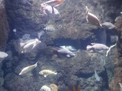 -南昌海洋公园