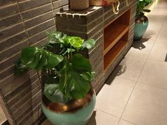 -丹江渔村(望京店)