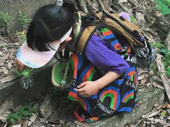 -素山寺森林公园