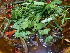 -范记豆花庄(东门好吃街店)