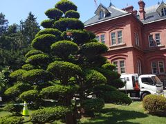 -北海道厅旧本厅舍(旧本庁舎)