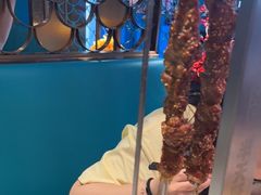 -半天妖烤鱼(大兴大悦春风里店)