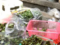 茶叶尖-龙姐私房菜(和顺古镇店)