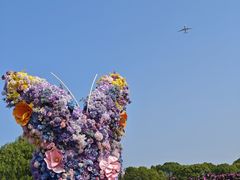 -上海鲜花港
