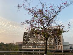 -广东财经大学(佛山校区)