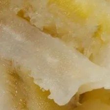 酸菜-健晟星期天火锅(彰武店)