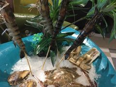 -小天鹅戴斯酒店鲸鲨百汇创作料理