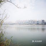 站在长江边上，左右各有三座桥，重庆既是雾都也是桥都