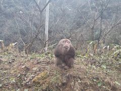 -西岭雪山大飞水景区