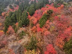 -香山公园