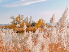 -野鸭湖国家湿地公园
