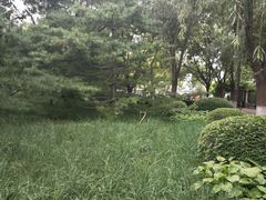 -莲花池公园
