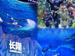-珠海长隆海洋王国