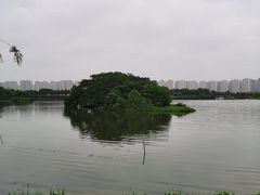-洋湖国家湿地公园