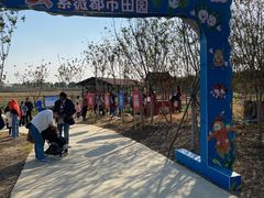 -武汉紫薇都市田园