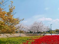 -石湖景区