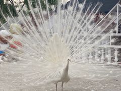 -金庭庄园酒店-停车场