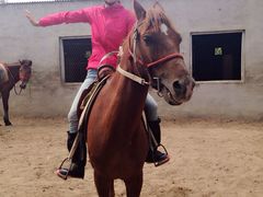 iphone_upload_pic-沈阳静安马场