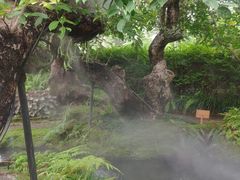 -Chom Cafe and Restaurant