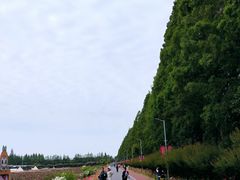 -上海长兴岛郊野公园