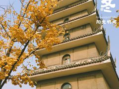 -生宇山珍野生菌汤锅•始于1999(双流古塔店)