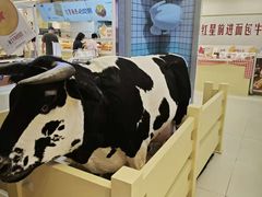 -红星前进面包牛奶公司(君太店)