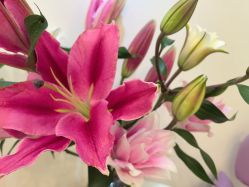 -FUMEIHUI·科技美肤·美体SPA