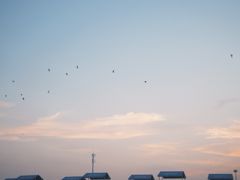 -日照灯塔风景区