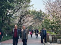 -百林公园-两江幸福广场
