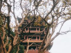 -黄鹤楼公园(黄鹤楼)