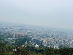 -杭州半山国家森林公园