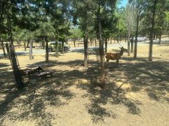 -秦皇岛野生动物园