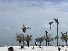 -西昌邛海湿地