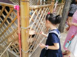 -萌宠亲子动物乐园(槐房万达店)