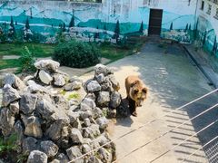 -成都动物园