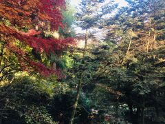 -莫干山大坑景区-停车场