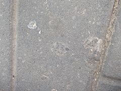 -小财盆地桌烤肉