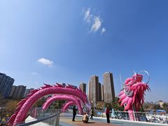 -府河摄影公园